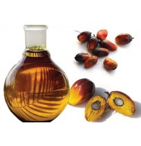 Crude Palm oil