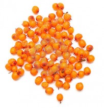 Frozen sea-buckthorn