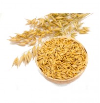 Oat Grains