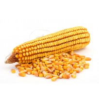 Corn