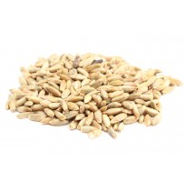 Rye feed