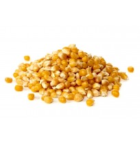 Corn feed