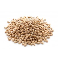 Barley feed