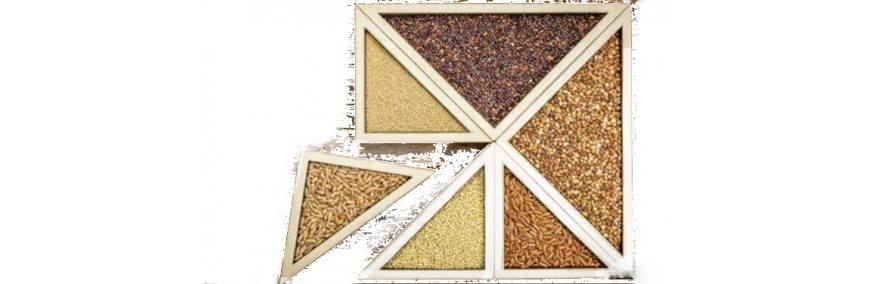 grain feed