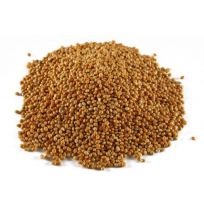 Sorghum feed